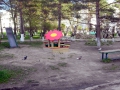 DSCN0513