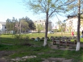 DSCN0518